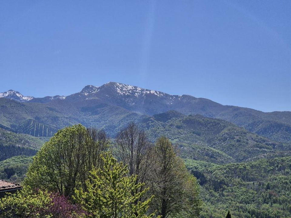 Villa i Roquefixade, Ariege - foto 4