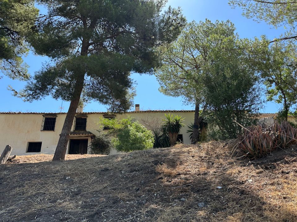 Finca i Velez Malaga, Malaga - foto 3