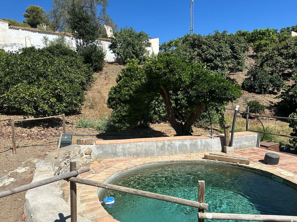 Finca i Velez Malaga, Malaga - foto 4