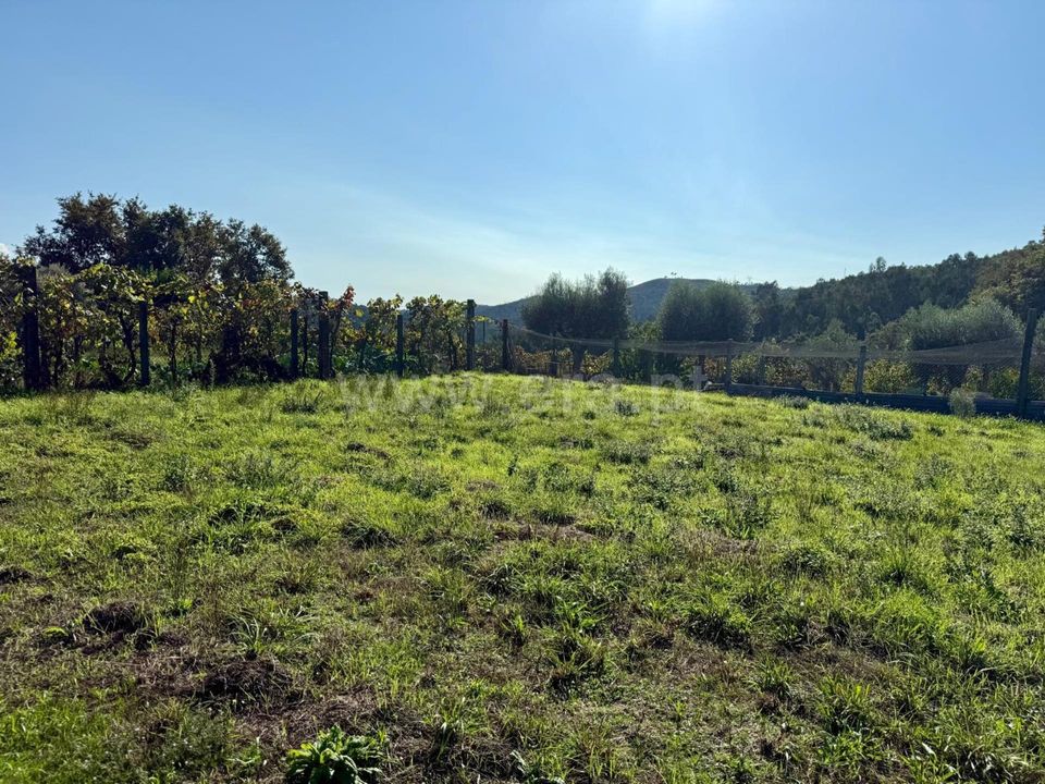 Helårsgrund i Povoa de Lanhoso, Braga - foto 1