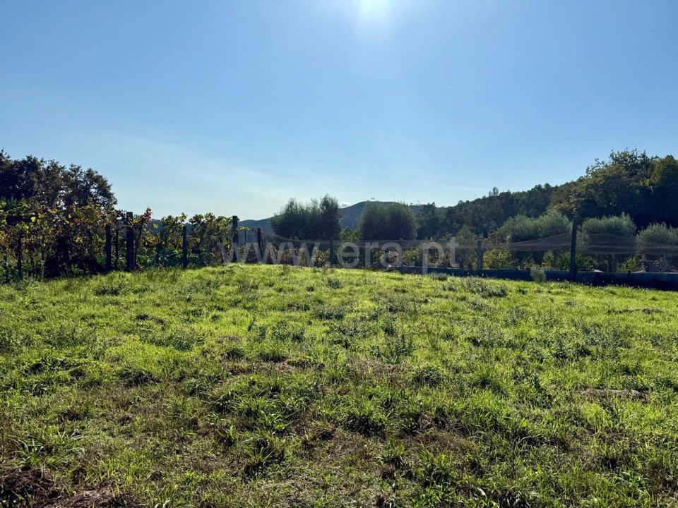 Helårsgrund i Povoa de Lanhoso, Braga - foto 3