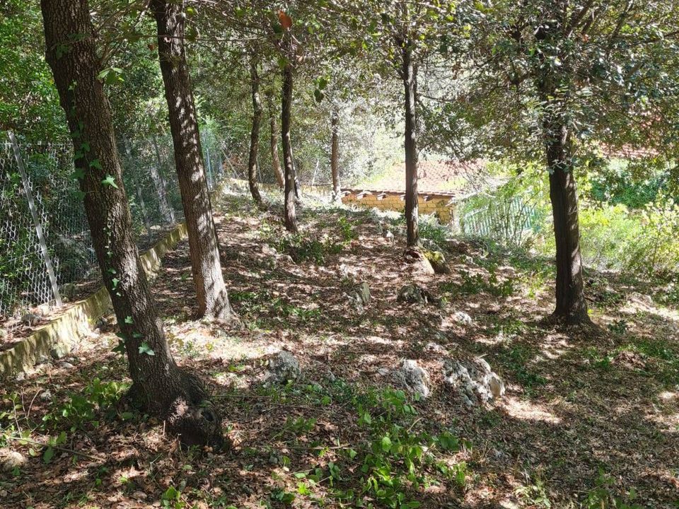 Villa i Palombara Sabina, Rome - foto 5