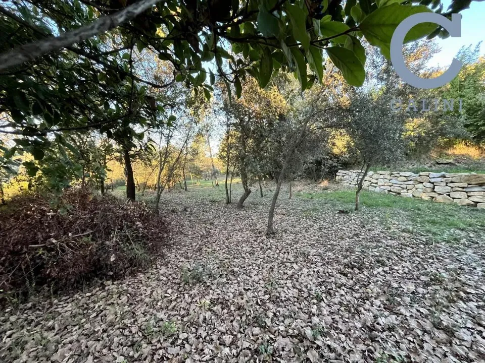 Helårsgrund i Montignargues, Gard - foto 4
