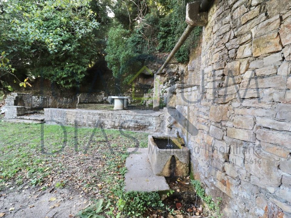 Farm i Lousa, Coimbra - foto 2