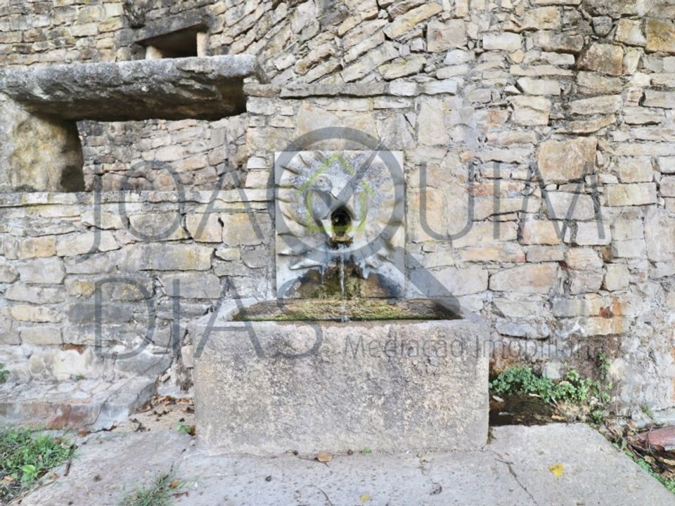 Farm i Lousa, Coimbra - foto 3