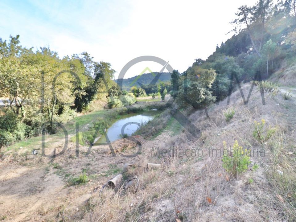 Farm i Lousa, Coimbra - foto 5
