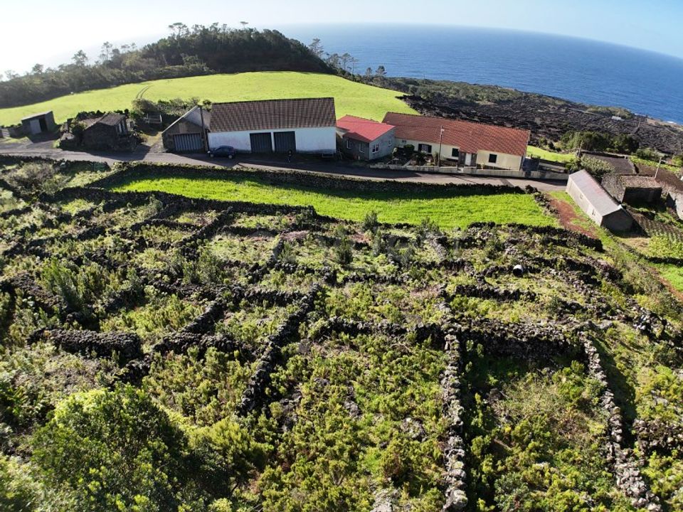 Terra a Candelaria, Pico - foto 1