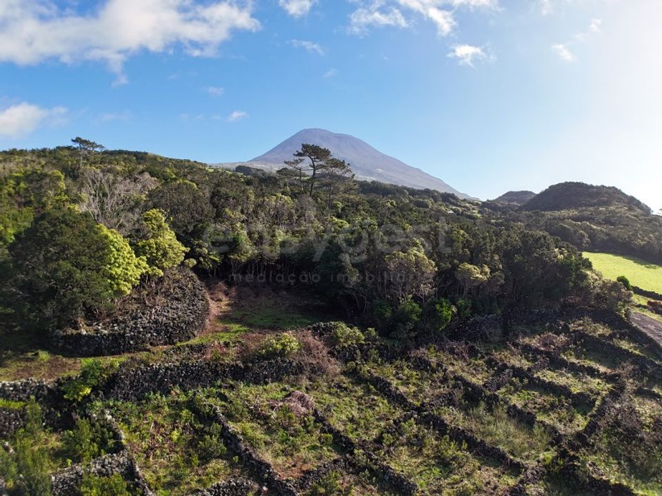 Terra a Candelaria, Pico - foto 3