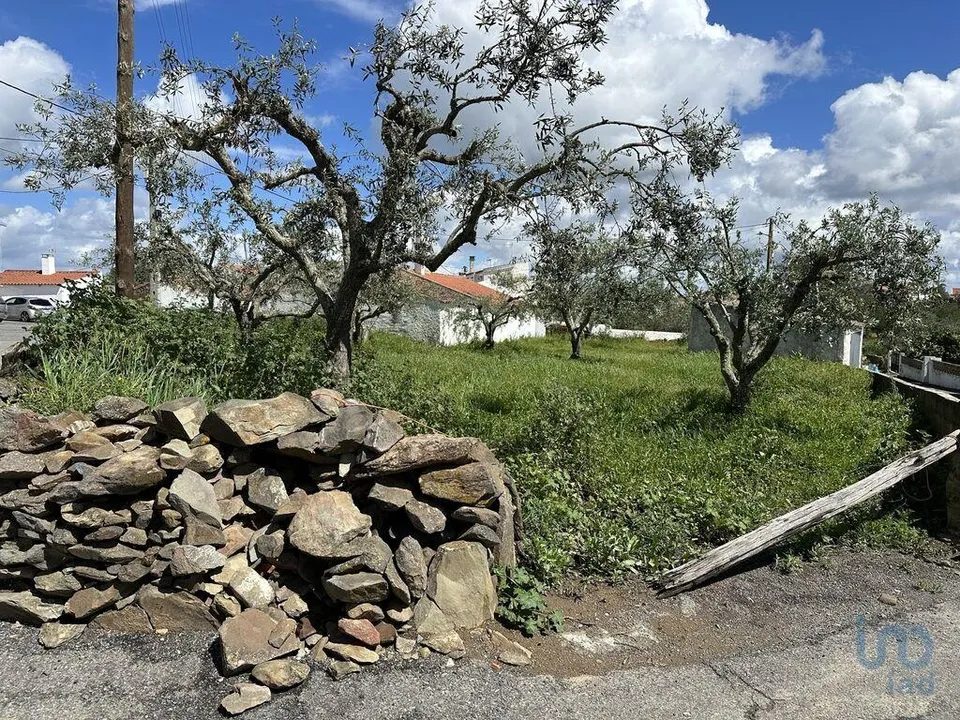 Helårsgrund i Almodovar, Beja - foto 2