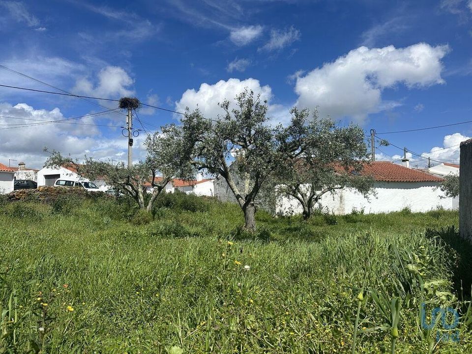 Helårsgrund i Almodovar, Beja - foto 3