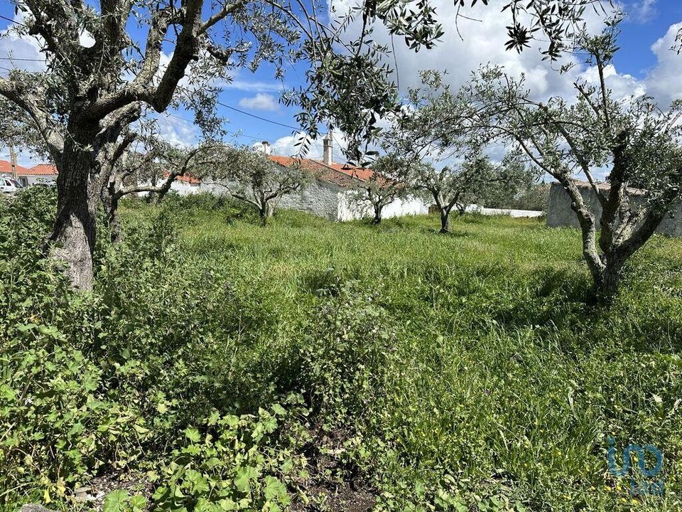 Helårsgrund i Almodovar, Beja - foto 4