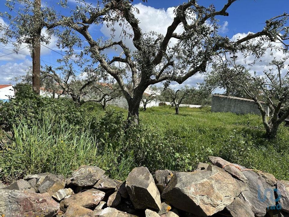 Helårsgrund i Almodovar, Beja - foto 5