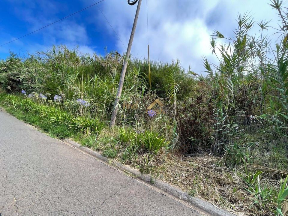 Helårsgrund i Calheta, Madeira - foto 1