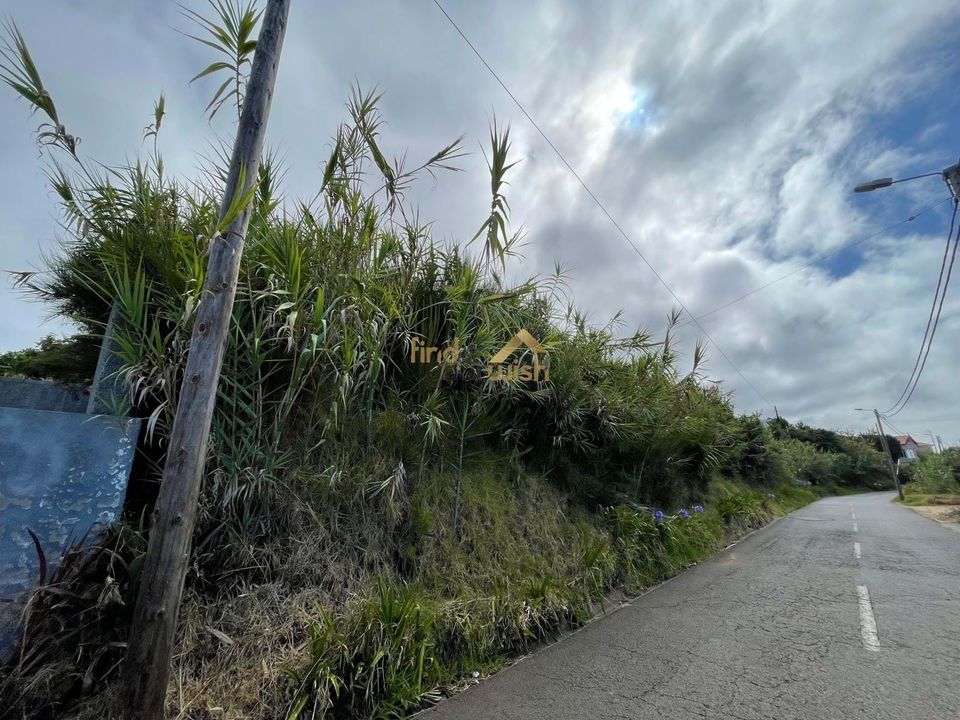 Helårsgrund i Calheta, Madeira - foto 5