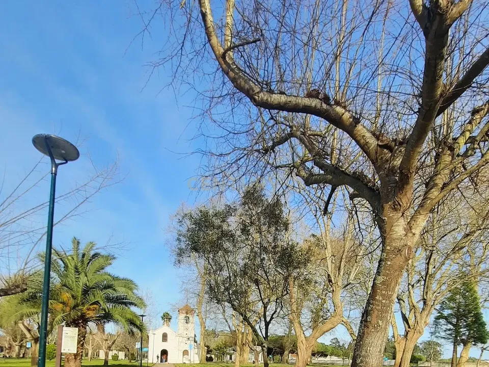 Helårsgrund i Vagos, Aveiro - foto 5