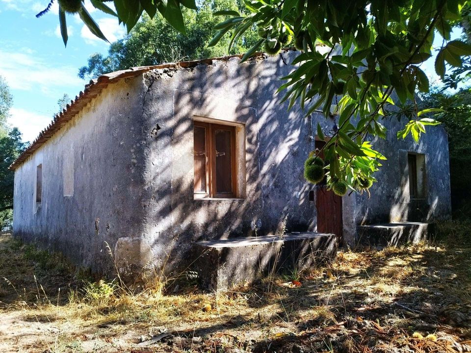 Farm hus i Monchique, Faro - foto 5
