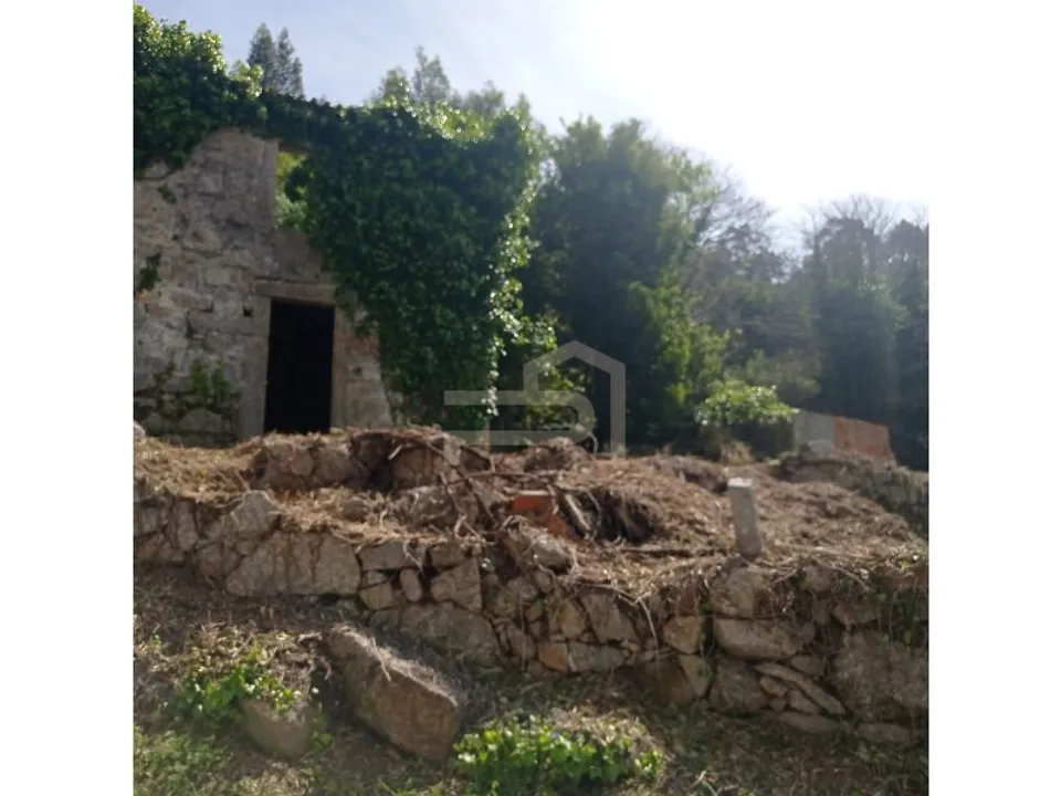 Masia a Santo Tirso, Porto - foto 1