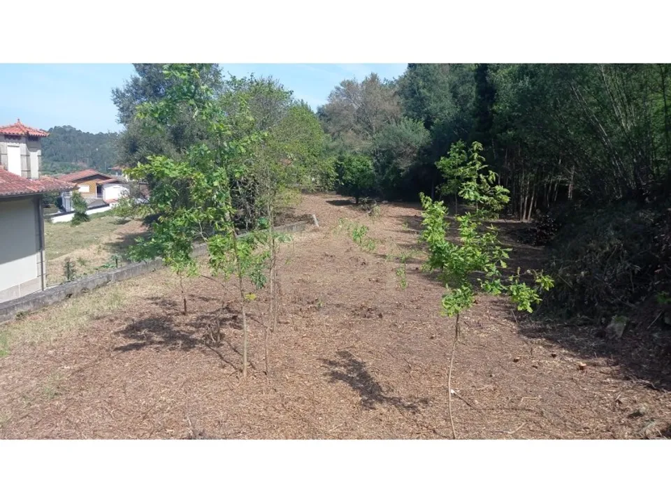 Masia a Santo Tirso, Porto - foto 2