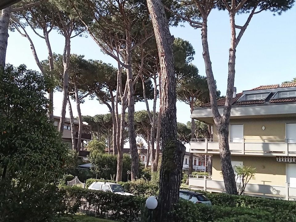 Lejlighed i Massa, Massa and Carrara - foto 2