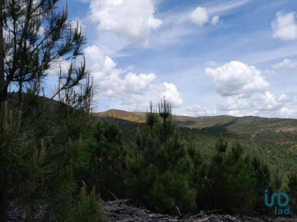 Helårsgrund i Covilha, Castelo Branco - foto 3