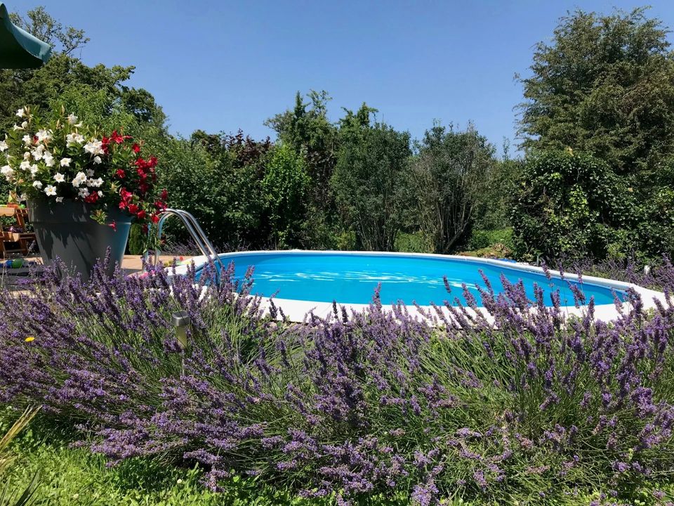 Villa a Dunet, Indre - foto 3