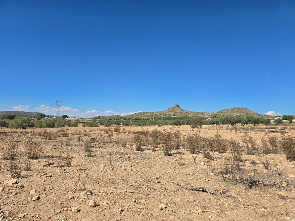 Tomt i Salinas, Alicante - bilde 2