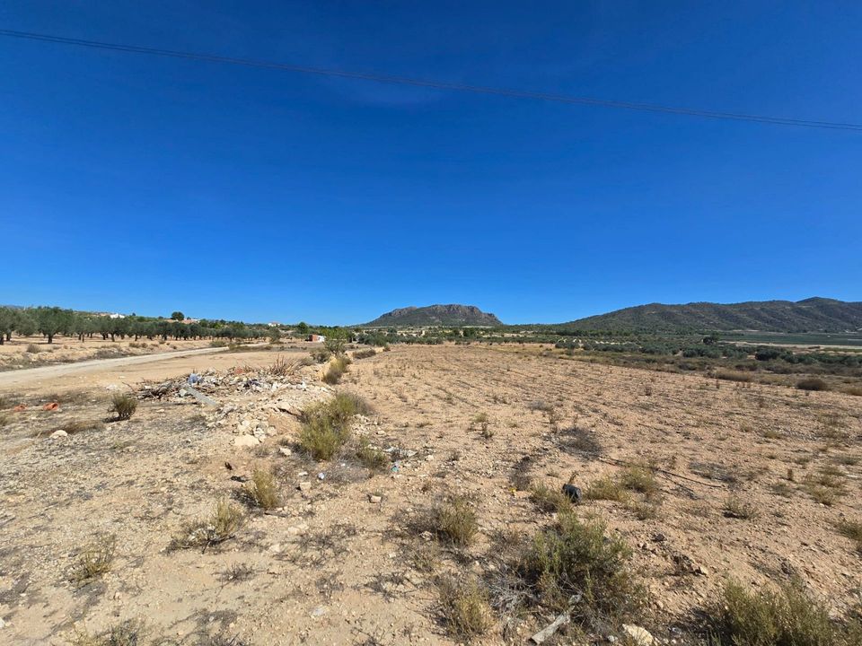 Tomt i Salinas, Alicante - bilde 4