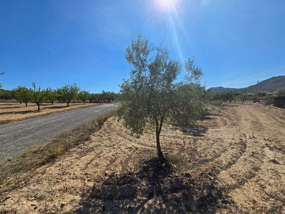 Grond in Salinas, Alicante - foto 4