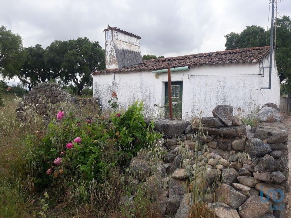 Byhus i Portalegre, Portalegre - foto 4