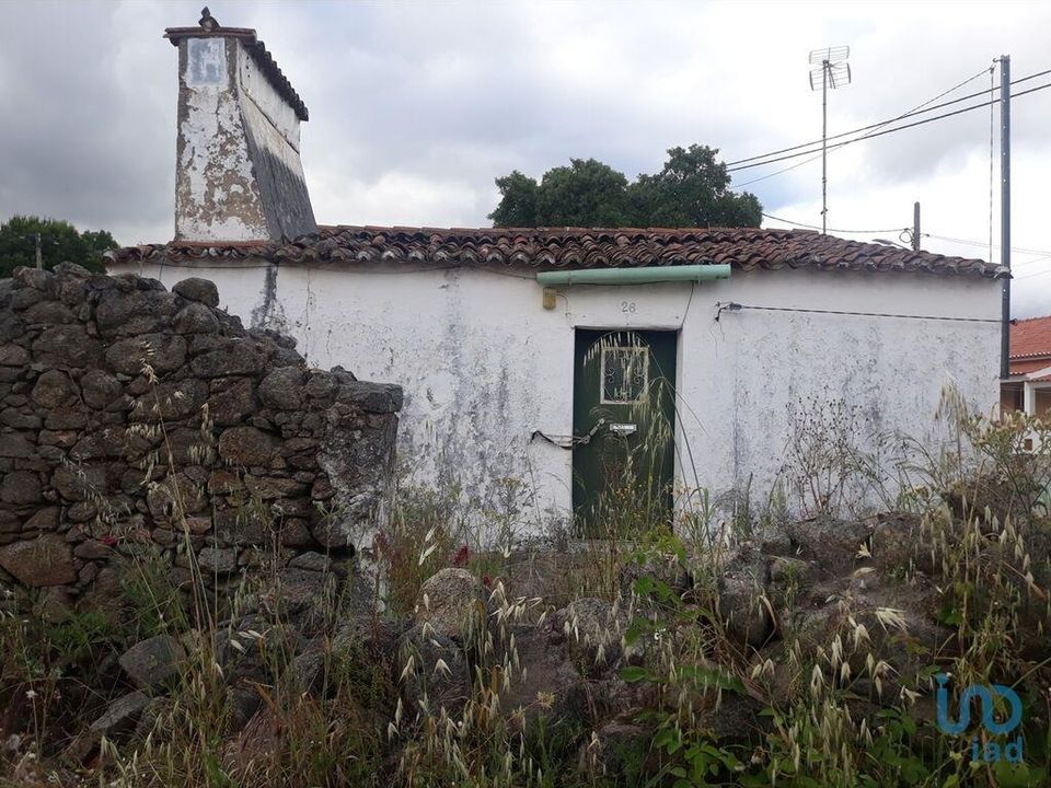 Byhus i Portalegre, Portalegre - foto 5