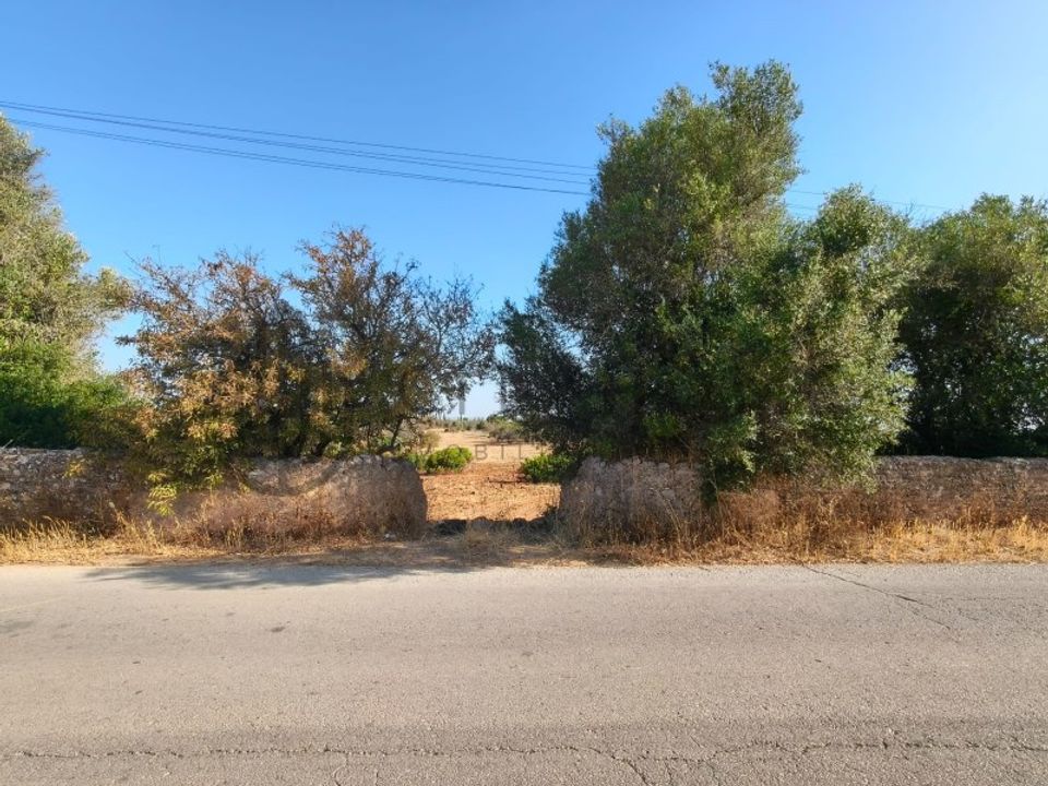 Helårsgrund i Carvoeiro, Faro - foto 5