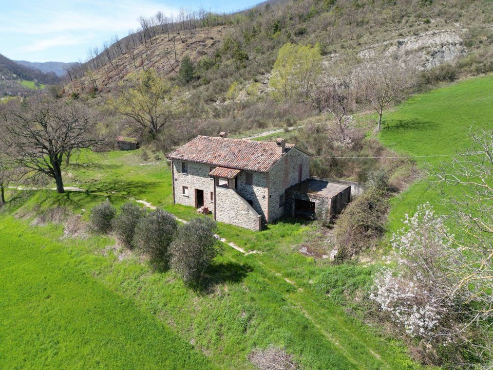 Herregård i Cantiano, Pesaro and Urbino - bilde 1