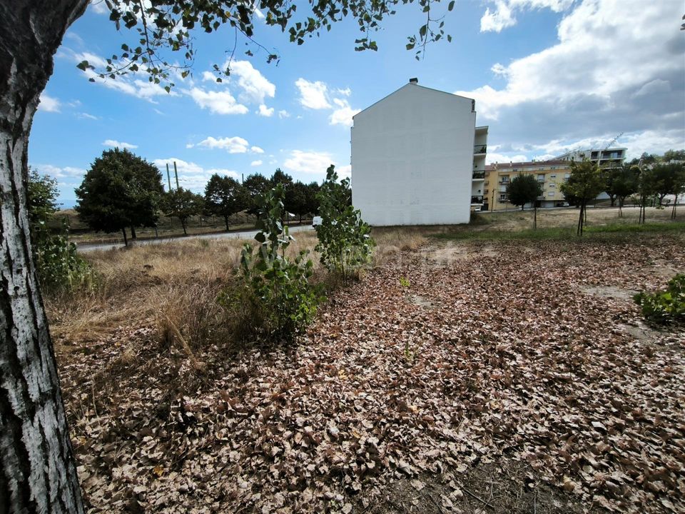 Działka: Nelas, Viseu – zdjęcie 1