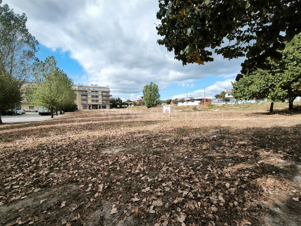Działka: Nelas, Viseu – zdjęcie 4