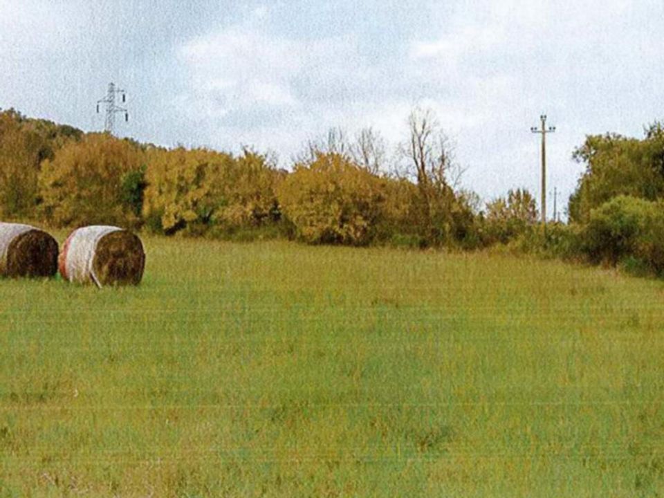 Helårsgrund i Orte, Viterbo - foto 5