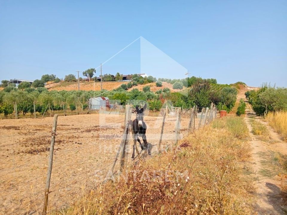 Helårsgrund i Pontevel, Santarem - foto 1
