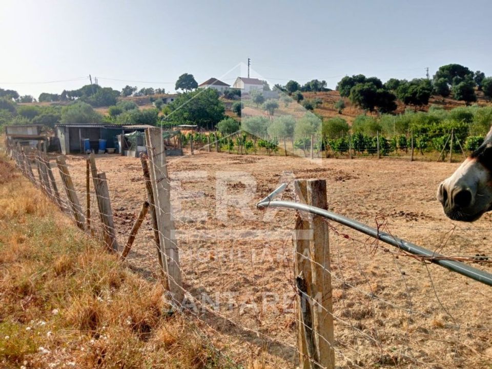 Helårsgrund i Pontevel, Santarem - foto 3