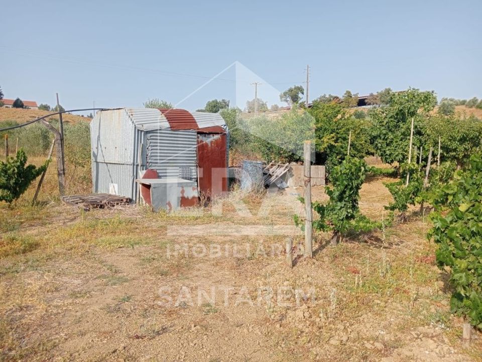 Helårsgrund i Pontevel, Santarem - foto 5