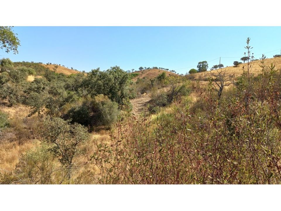 Farm hus i Ourique, Beja - foto 3