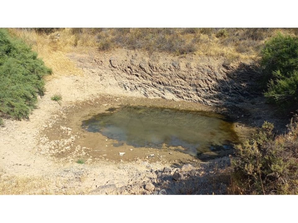 Farm hus i Ourique, Beja - foto 4