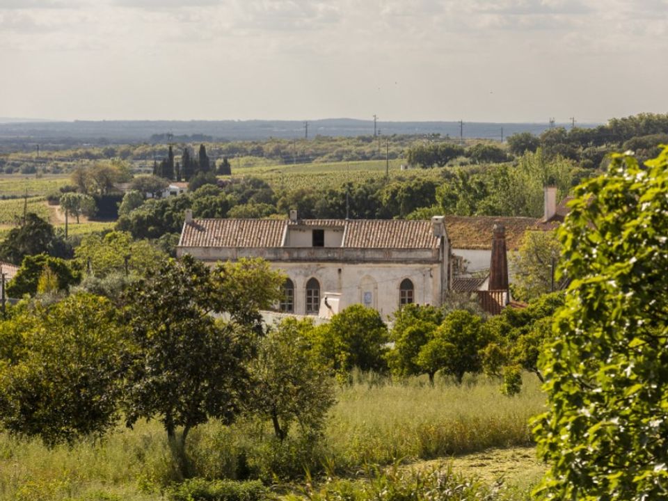 Farm i Estremoz, Evora - foto 3