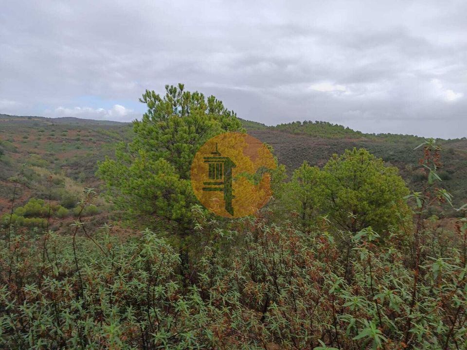 Helårsgrund i Alcoutim, Faro - foto 4