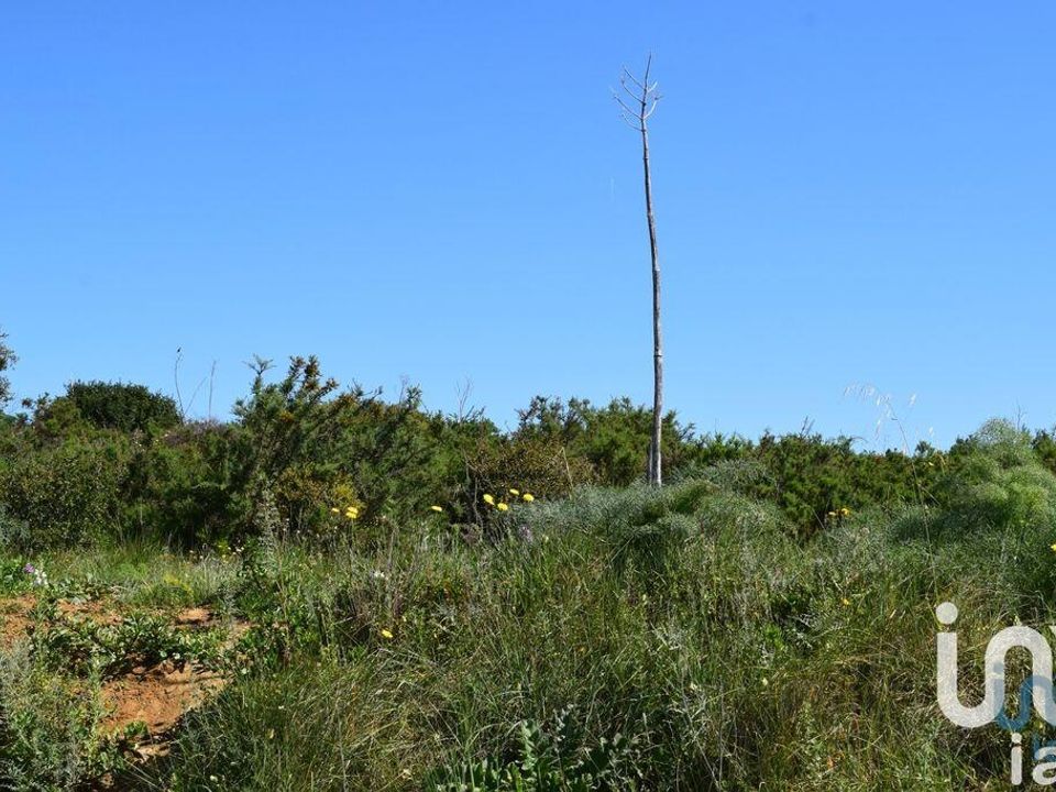 Terra a Alenquer, Lisbon - foto 2
