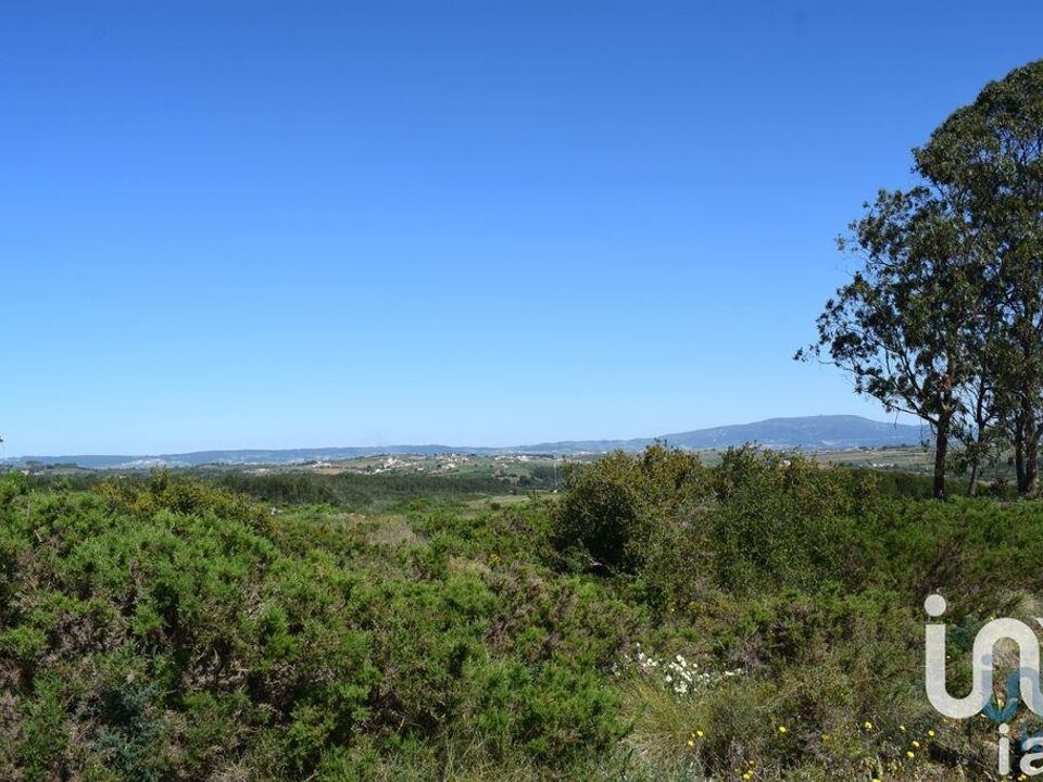 Terra a Alenquer, Lisbon - foto 5