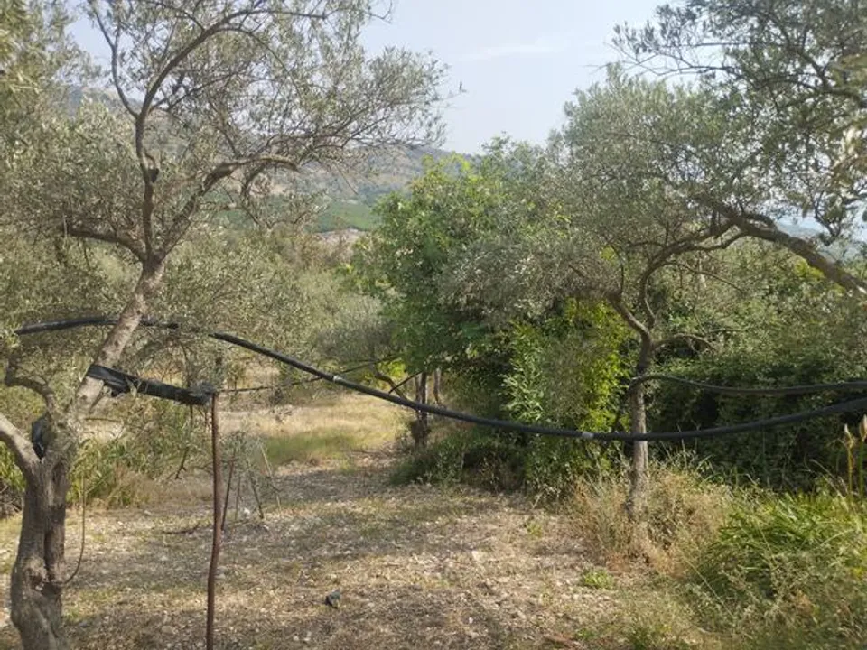 Herregård i Bivona, Agrigento - bilde 3