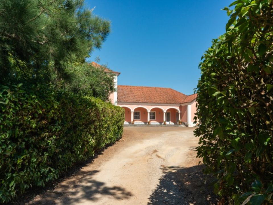 Farm i Alenquer, Lisbon - foto 4