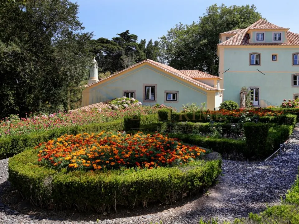 Farm i Sintra, Lisbon - foto 3
