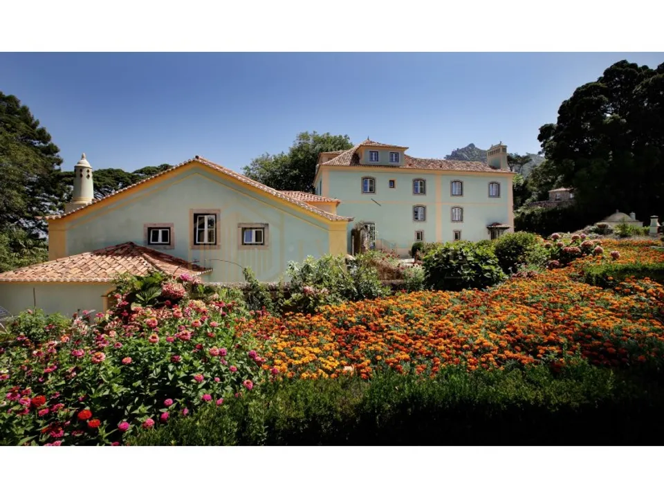 Farm i Sintra, Lisbon - foto 2