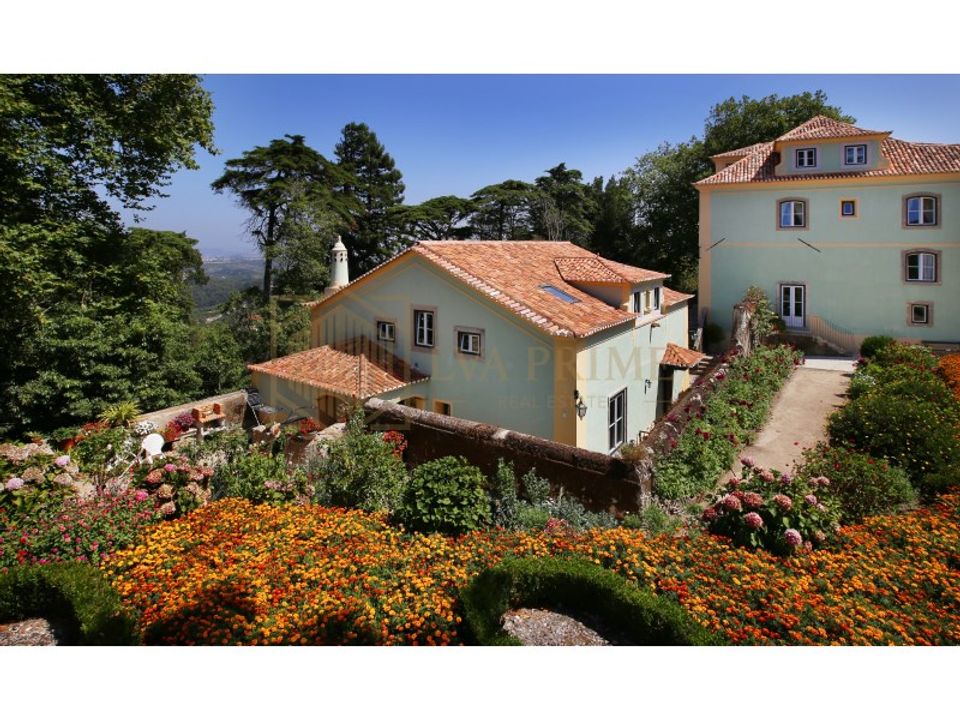 Farm i Sintra, Lisbon - foto 4