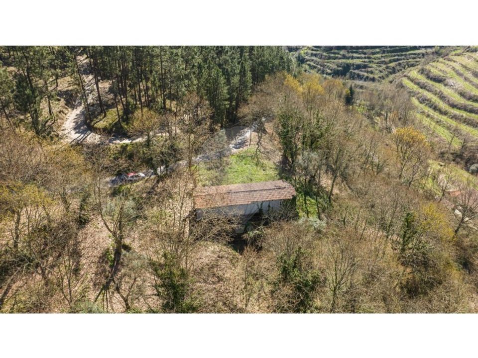 Villa i Celorico de Basto, Braga - foto 3